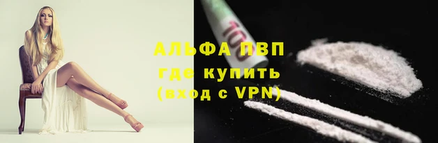 ешки Алзамай