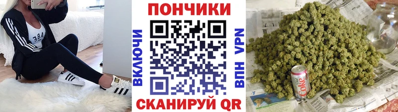 Бошки Шишки ГИДРОПОН  Купить  Снежногорск 